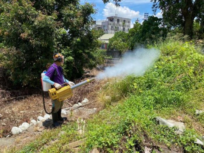 本土登革熱疫情升溫　張麗善籲落實防疫清除孳生源