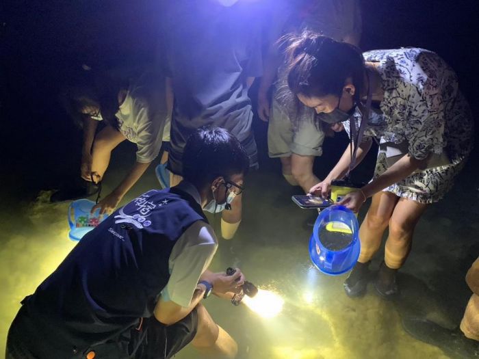 陸蟹降海釋幼夏夜高峰期　屏東海生館「蟹逅」深入觀察體驗
