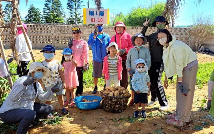 澎湖縣農漁局辦理「田間體驗-親子拔地瓜」活動