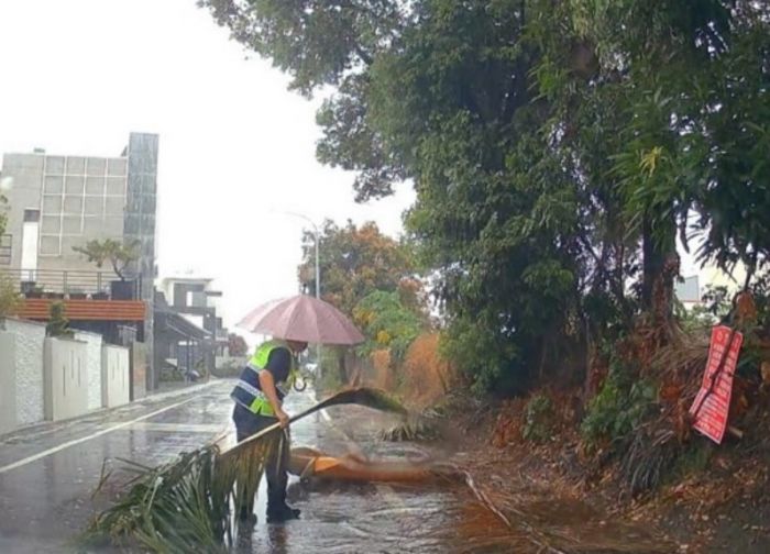 路樹塌阻交通　和心警速排除