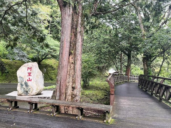 杜蘇芮颱風來襲　阿里山國家森林遊樂區今下午5時預警性休園