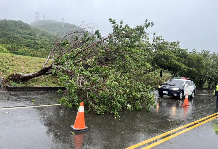 颱風來襲路樹倒塌　恆警冒雨疏導協助排除
