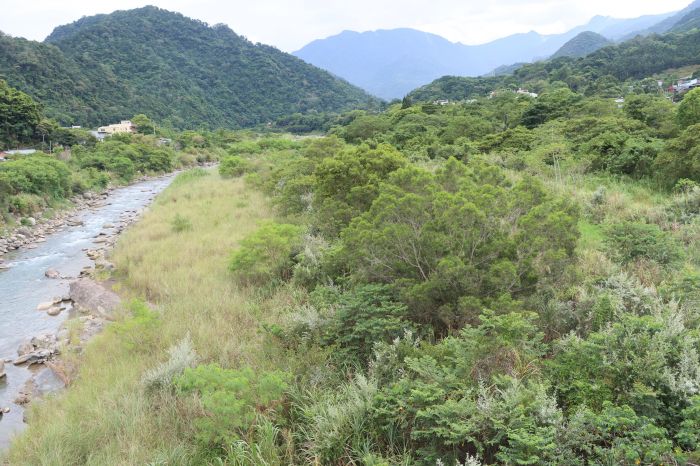 東河溪南庄橋淤積居民憂心釀災　鍾東錦邀河川局會勘商討整治方案