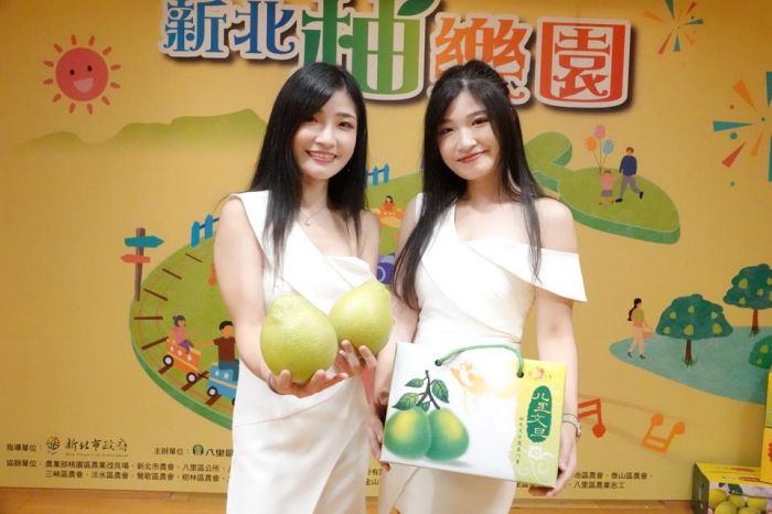 新北市與在地品牌聯手推廣八里文旦柚