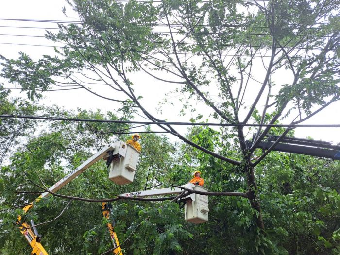 海葵颱風造成彰化2,000餘戶停電 台電：已全數復電