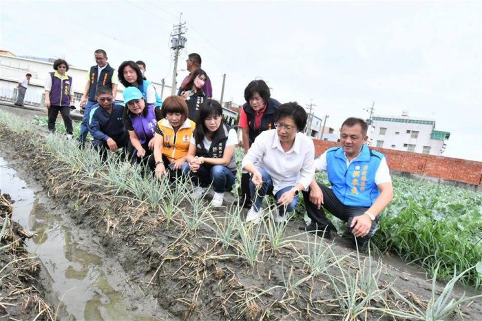 海葵颱風來襲 彰化縣長王惠美視察埔鹽地區青蔥、花椰菜農損情形