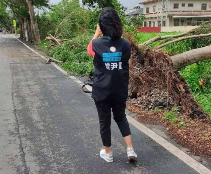 海葵颳倒旗美地區路樹  有提前部署否 預防減更勝善後補救
