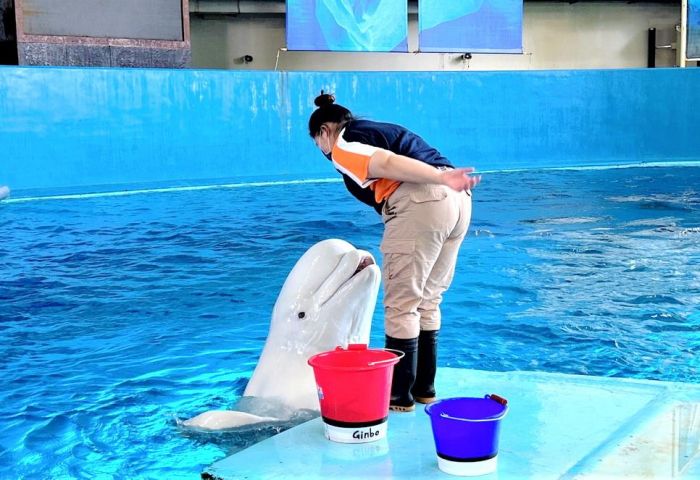 屏東海生館海洋老師與飼育員　心路歷程大公開