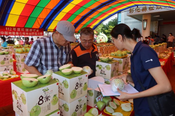 彰化社頭鄉芭面玲瓏推廣活動登場　98組芭樂、50組桂圓參與評鑑