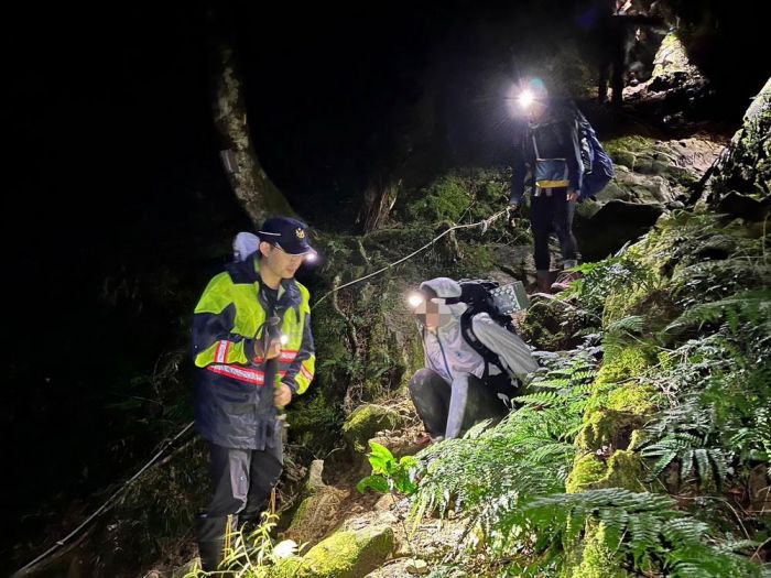 水漾森林忽竄虎頭蜂 大學登山社8名遭螫傷 阿里山警急救援