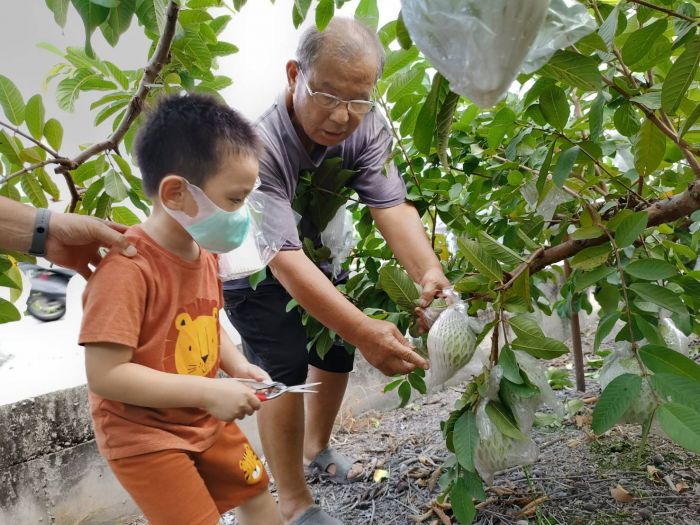 二水鄉農會舉辦農業產業文化活動 邀民眾嚐「柚」嚐「樂」「稻」陣來