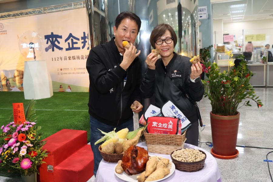 後龍甘藷花生節12/16登場　 歡迎體驗農家樂