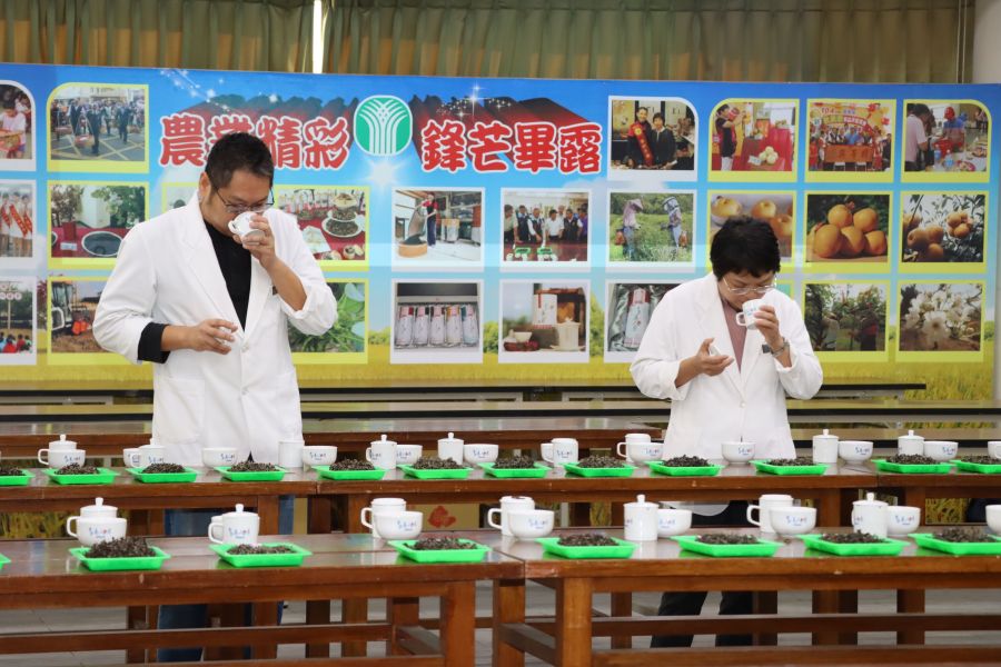 全國冬季東方美人茶評鑑競賽　青農曾郁芳勇奪特等獎