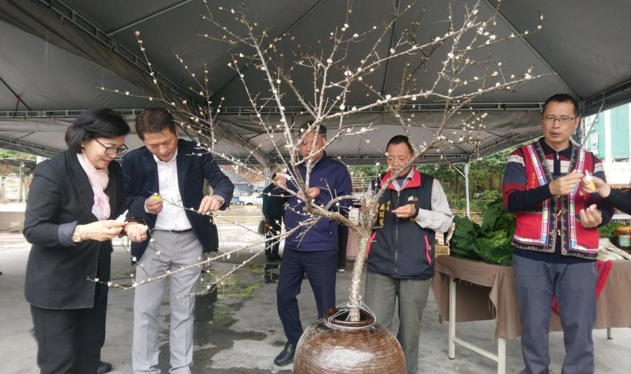 南投信義鄉「踏雪尋梅」活動12/23登場
