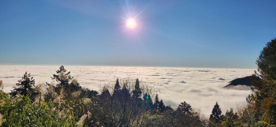 阿里山國家森林遊樂區龍年優惠券 迎春熱賣