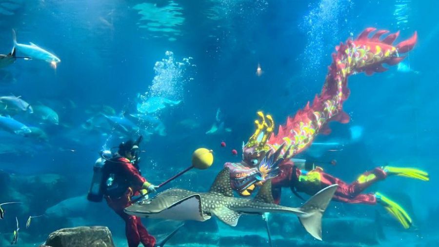 遠雄海洋公園祥龍秀迎新春　海龍王帶領魟魚、鯊魚齊拜年