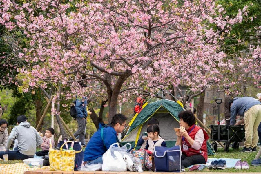 高虹安推薦走春旅遊景點 邀民眾感受竹市魅力