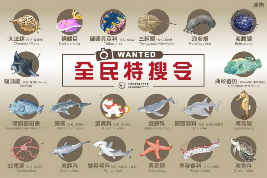 「全民特搜令」開跑 上傳海洋生物照片送好禮