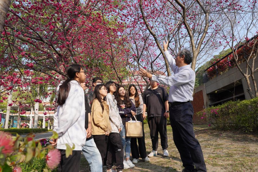 大葉大學櫻花現正盛開 社區小旅行規劃課程移師櫻花樹下