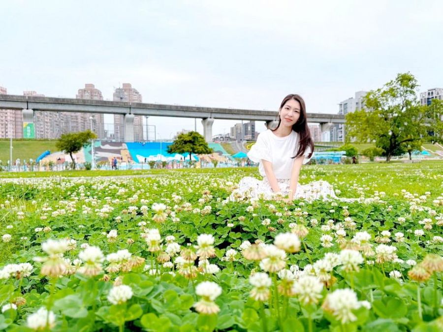 新北大都會公園 「白花三葉草」綻放邀民眾共享幸福