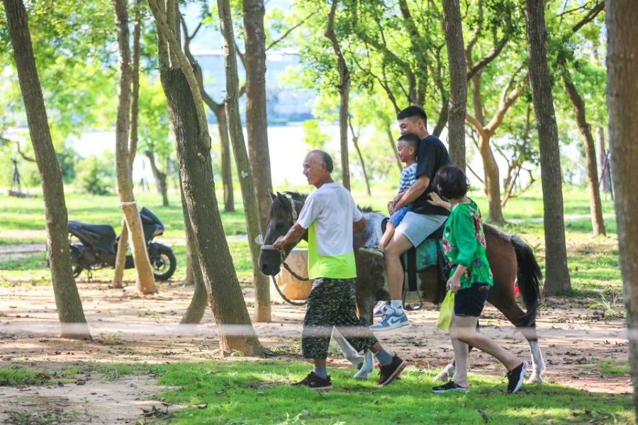 金門搶攻暑假親子旅遊市場體驗遊程