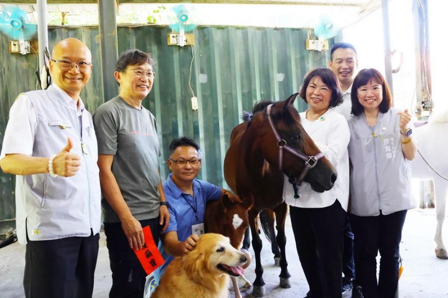 樂齡馬術伴長輩培養好肌力！榮譽市馬Lulu添丁 黃敏惠親送「月子禮」祝福