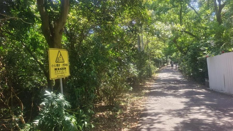 竹市十八尖山蛇出沒　市府：提醒民眾注意防範