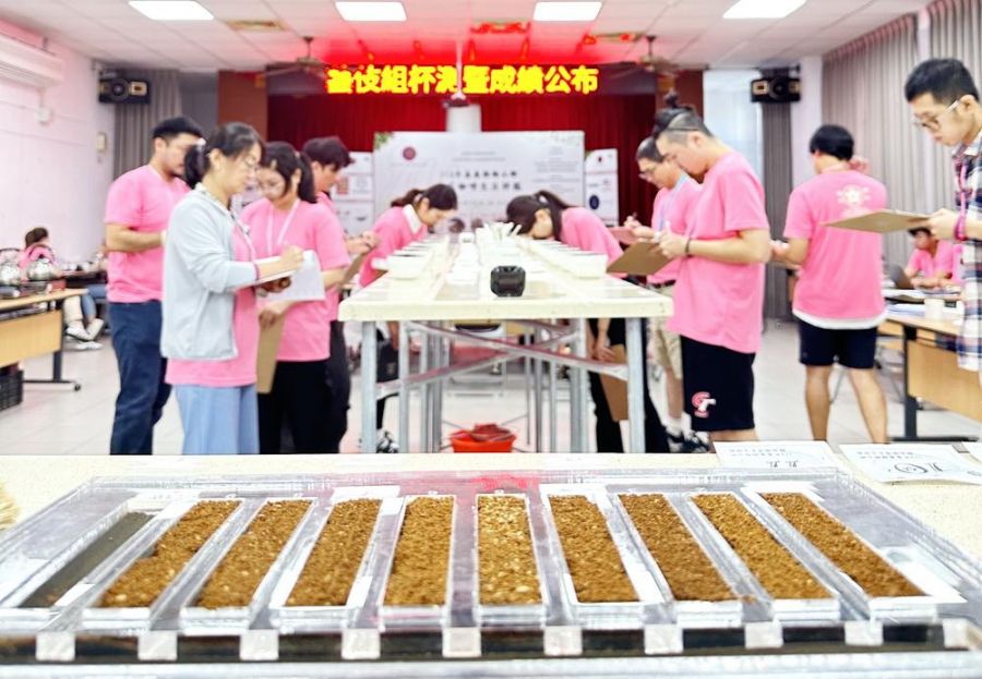 113年嘉縣梅山鄉首屆精品咖啡生豆評鑑　初選成績出爐