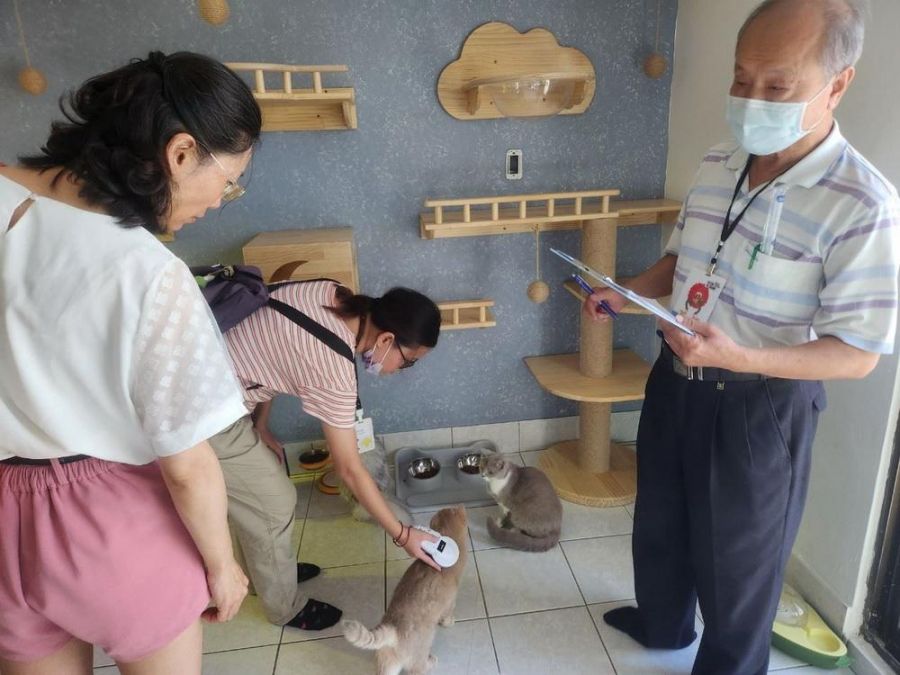 嘉義市21家特定寵物業  榮獲113年度優良業者