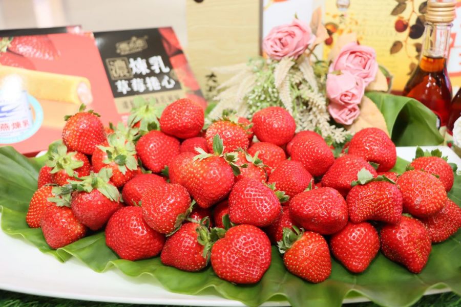 莓 I LOVE YOU  2024大湖草莓季啟動
