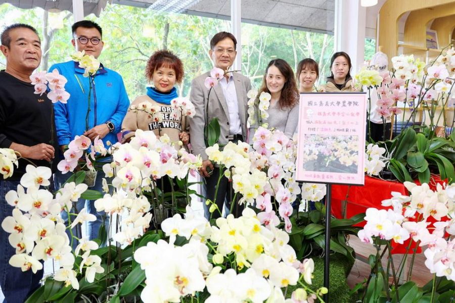 捐百元助經濟不利學生成長圓夢  嘉大送您蝴蝶蘭