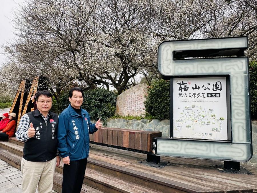 梅山公園梅花目前花開約5成　鄉長林俊謀歡迎大家來賞梅花