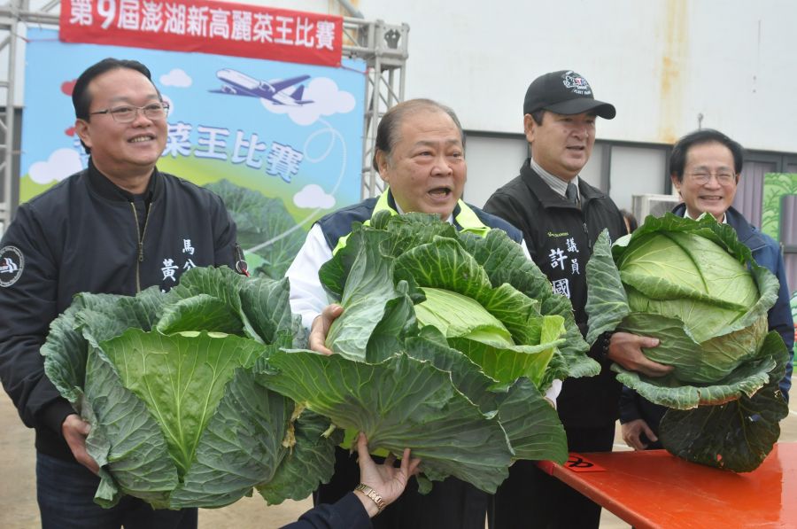 第9屆澎湖新高麗菜王比賽　高麗菜王得主出爐