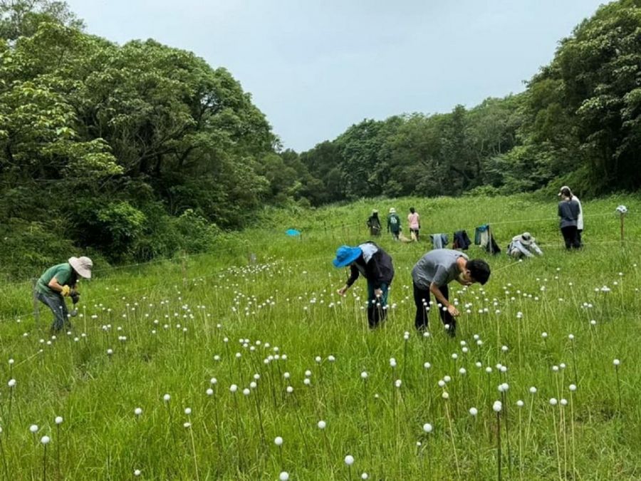 荒野保護協會保護蓮花寺濕地獲特優   楊文科表揚肯定