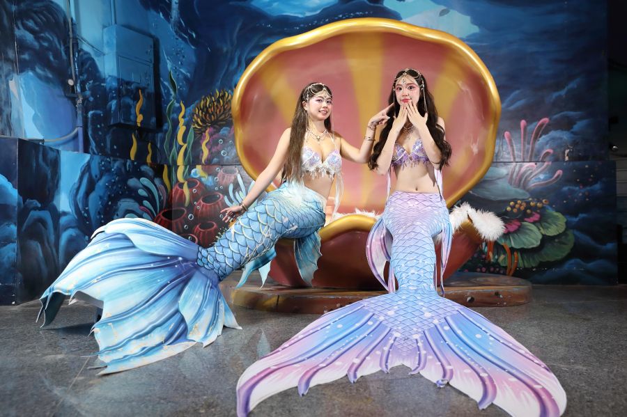 遠雄海洋公園「美人魚嘉年華」夢幻登場探索海洋奧秘