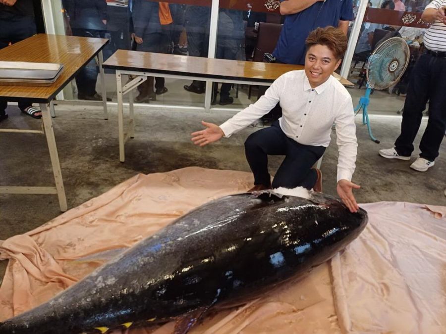 餐廳買進黑鮪魚近200斤 上演解體秀 每桌免費招待20片生魚片