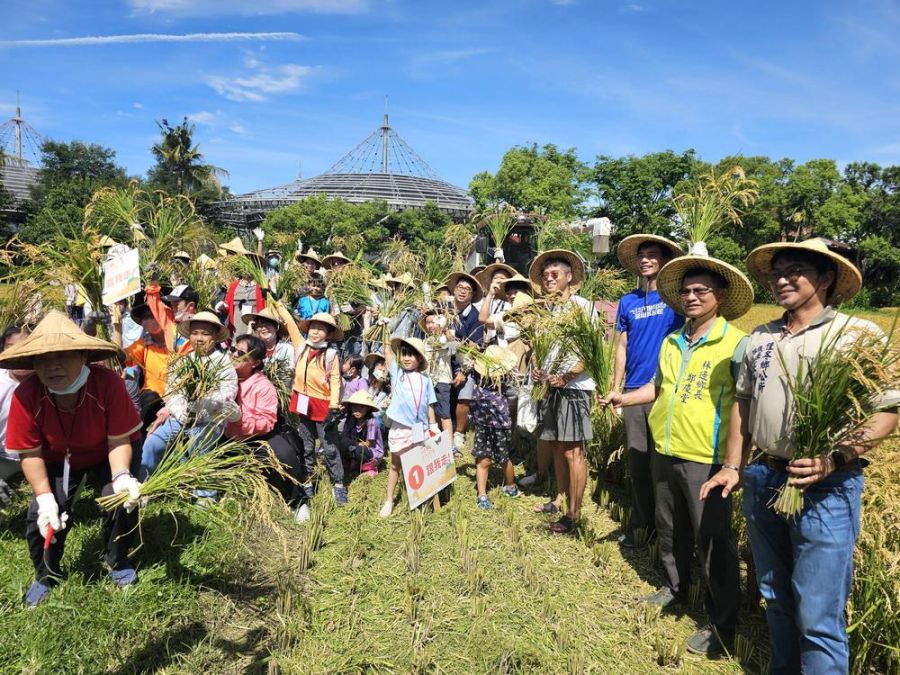 2025六堆園區農事學堂活動　六堆黃金稻穗糯米大豐收