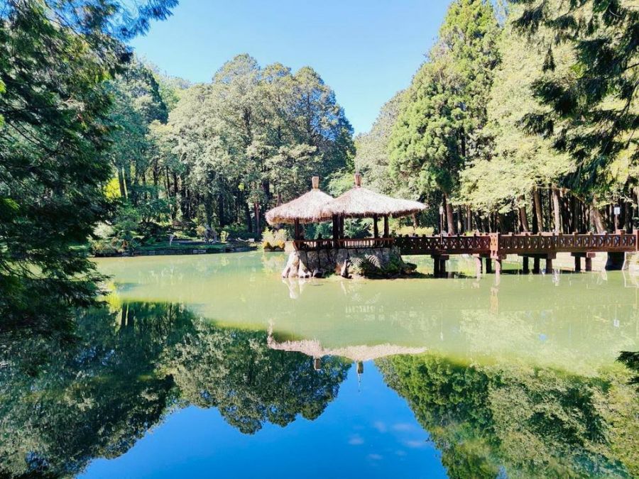 搭乘台灣好行遊阿里山  阿管處抽阿里山賓館住宿券、來回機票