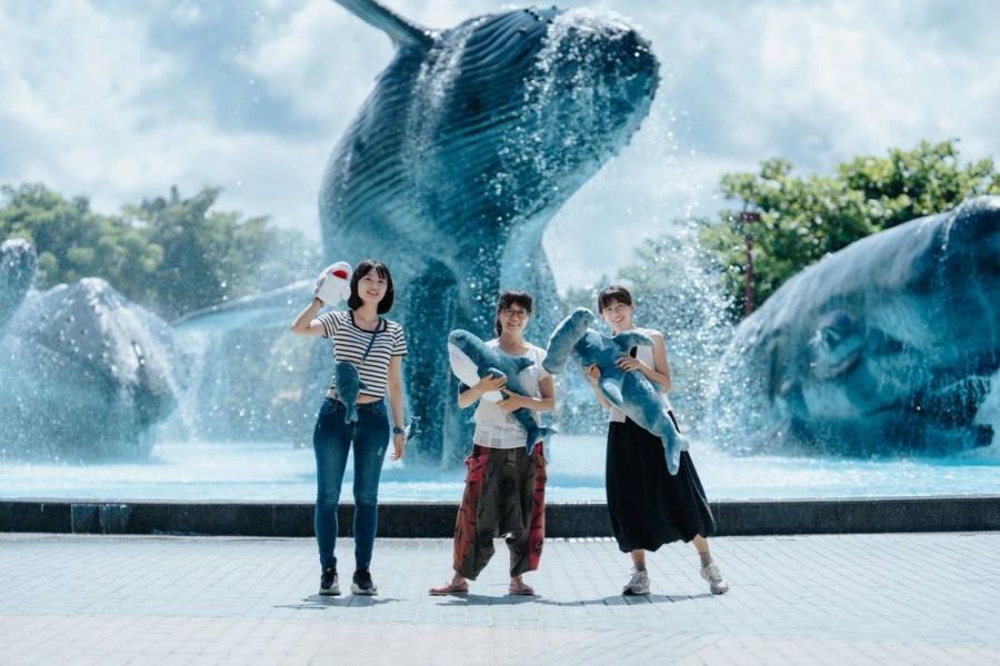 鯊魚透明卵鞘魅力爆棚！海生館「福爾摩鯊之旅」6/28登場