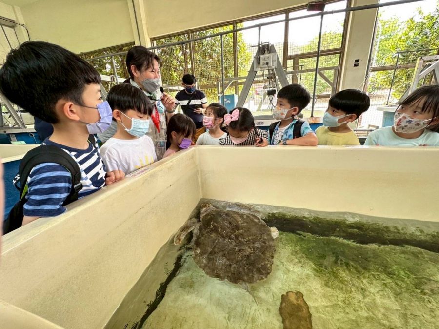 夜宿海生館推出全新行程！走進神秘水族實驗中心探訪海龜