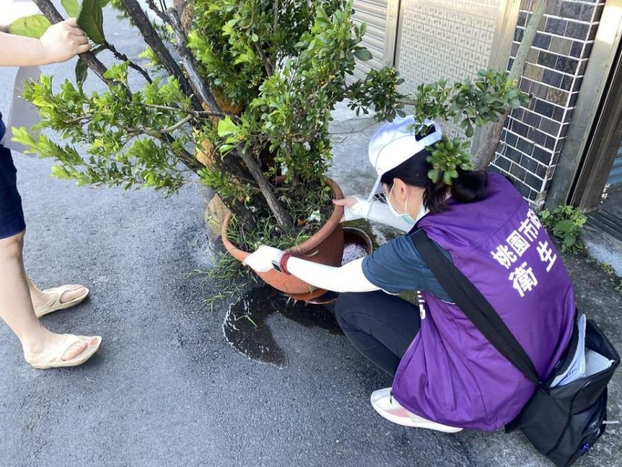 暑假旅遊旺季來臨！當心登革熱找上門