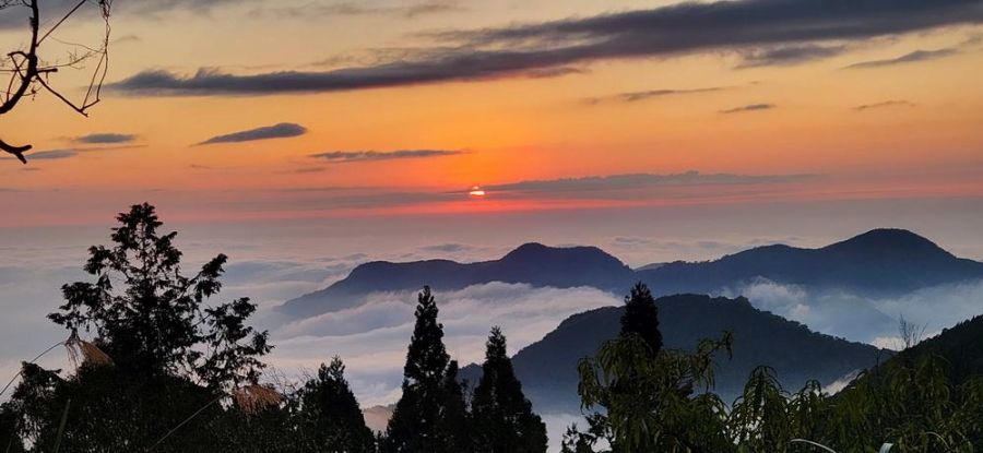 秋冬追星雲遊阿里山 國際級美景