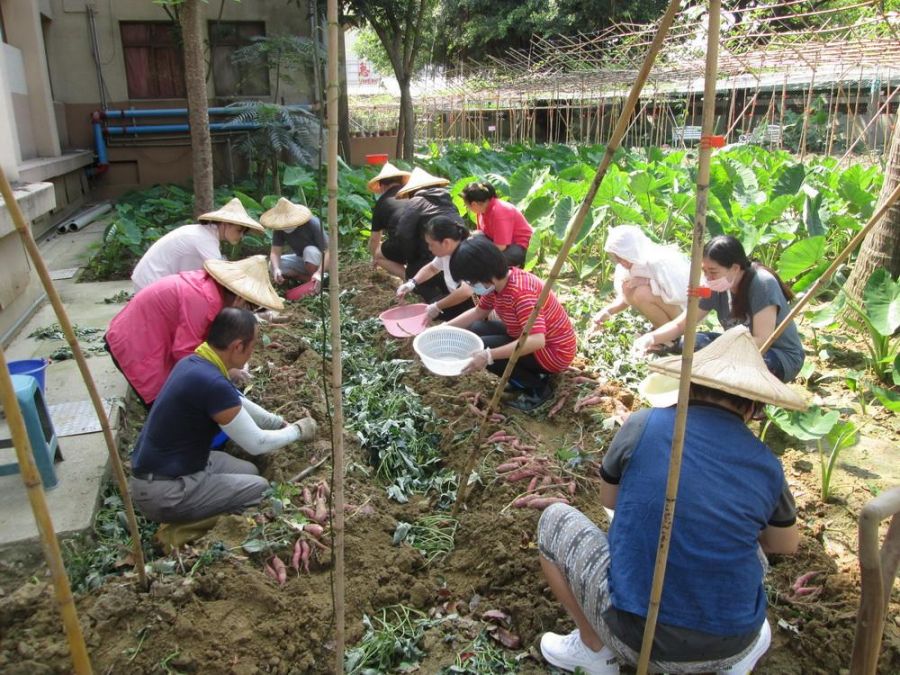 嘉榮精神日間病房園藝治療　助病友開出希望之芽