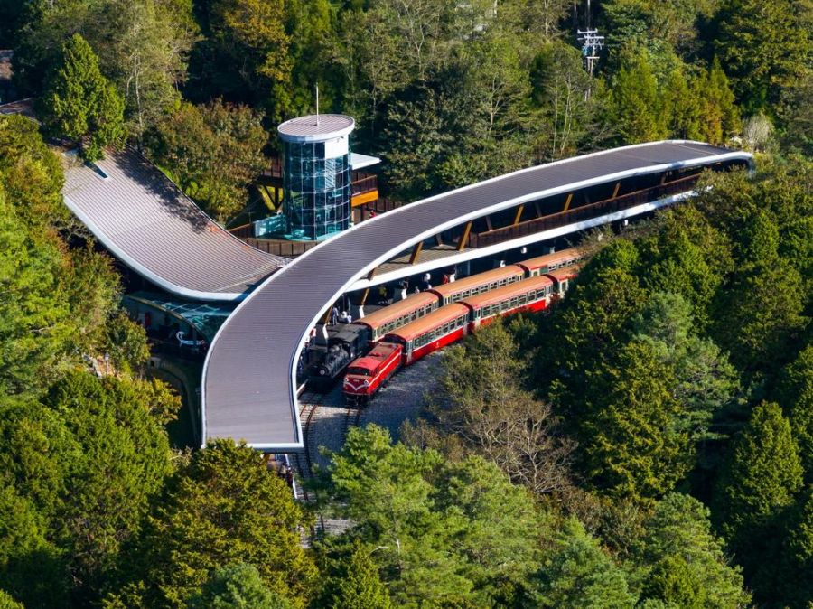 連假旅遊首選！搭阿里山小火車漫遊雲霧森林自然魅力、體驗特色列車