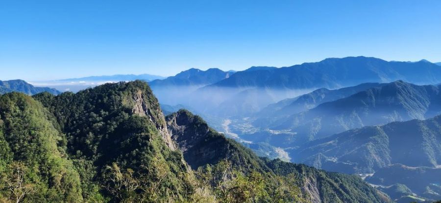 重磅喜訊 阿里山再登國際舞台  榮獲雙料大獎！