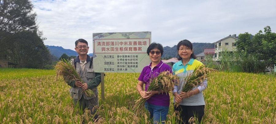 農業部生物多樣性研究所與臺中農改場　推動清流部落友善稻作
