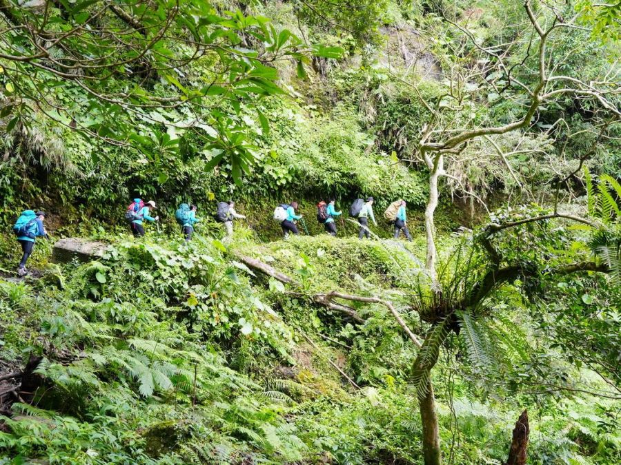 有熊森林、布農、古道~2026玉山 拉庫拉庫蕨之旅開始報名