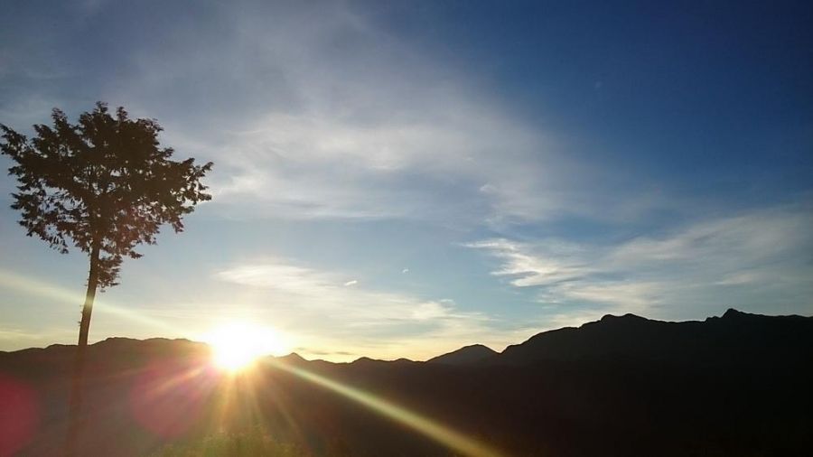 2026元旦阿里山賓館推「曙光日出」專案 贈祝山線來回火車票