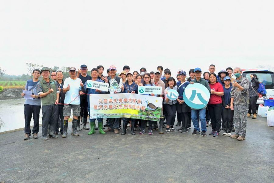 嘉義九芎埤「除魚護雉」 打造水雉五星級育嬰房