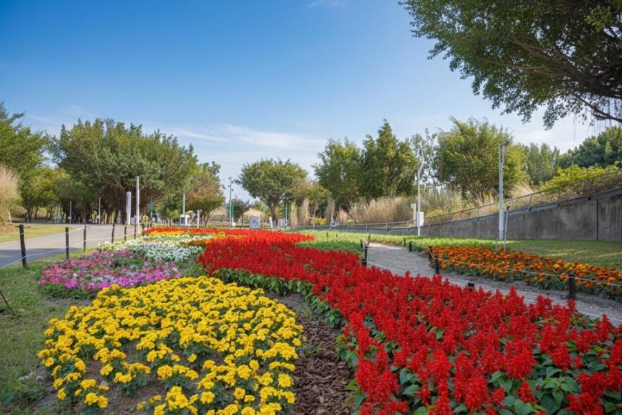 2026新年走春好去處！ 台中道路、公園繽紛蒔花妝點城市景觀
